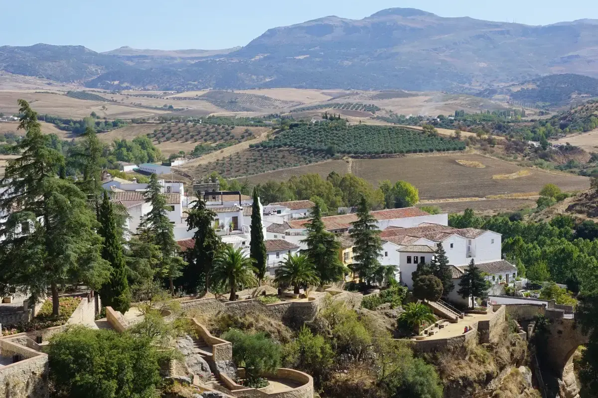 Paisaje de campiña andaluza con olivares y sierra al fondo, imagen ilustrativa