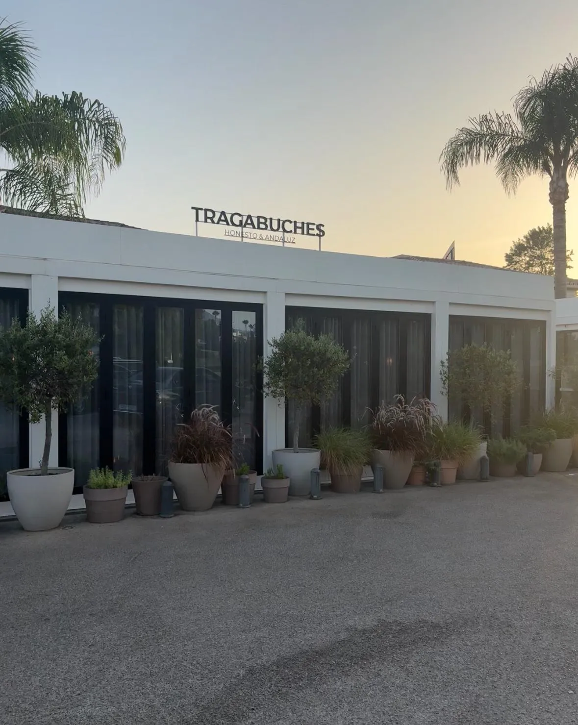 Fachada del restaurante Tragabuches en Marbella, con el rótulo del nombre y palmeras en la entrada